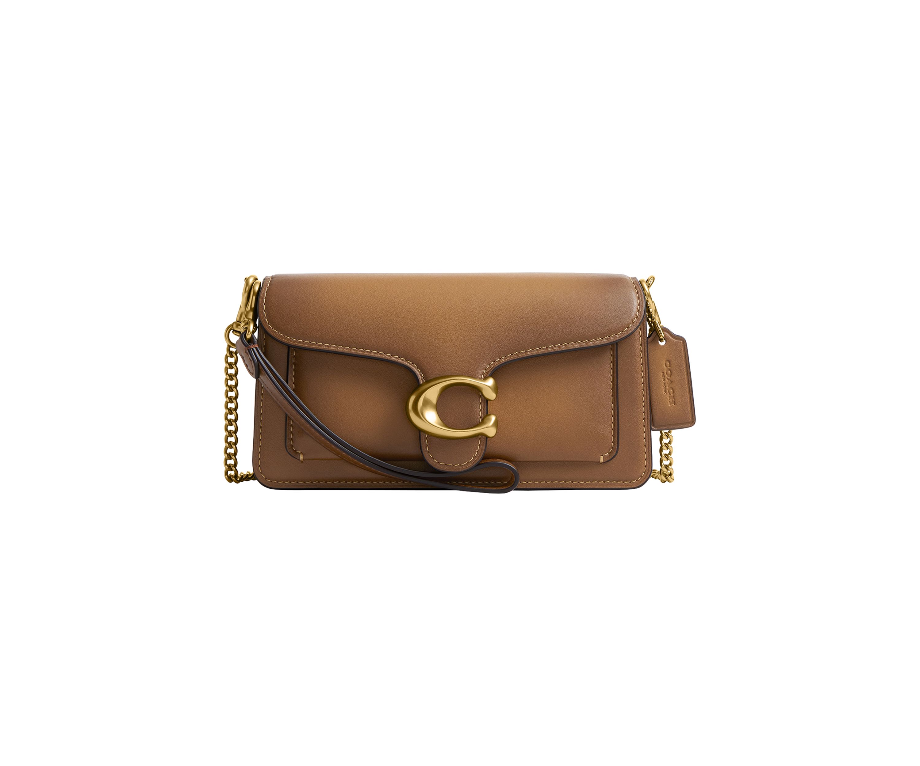 Tabby Chain Crossbody Bag 19