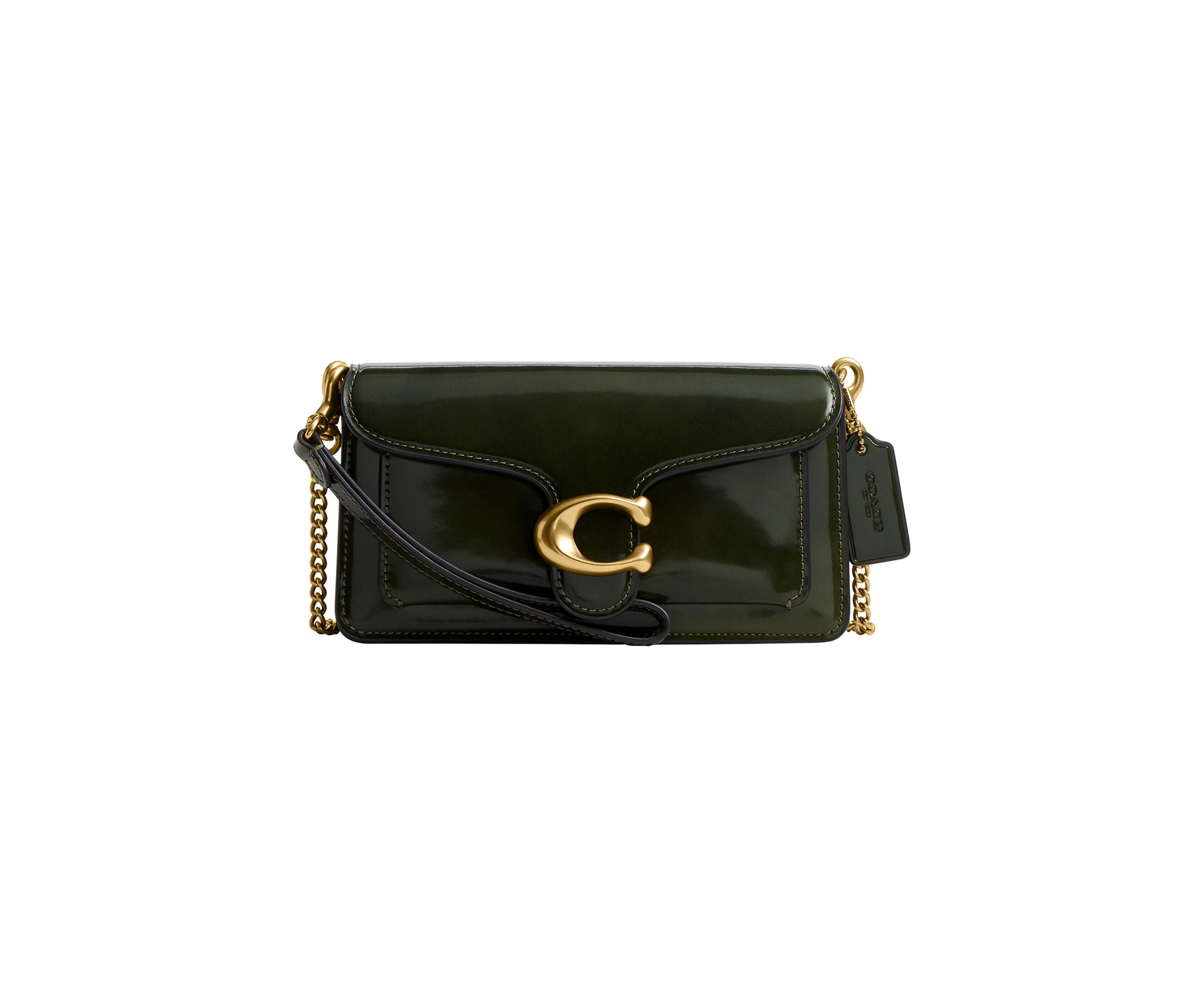 Tabby Chain Crossbody Bag 19