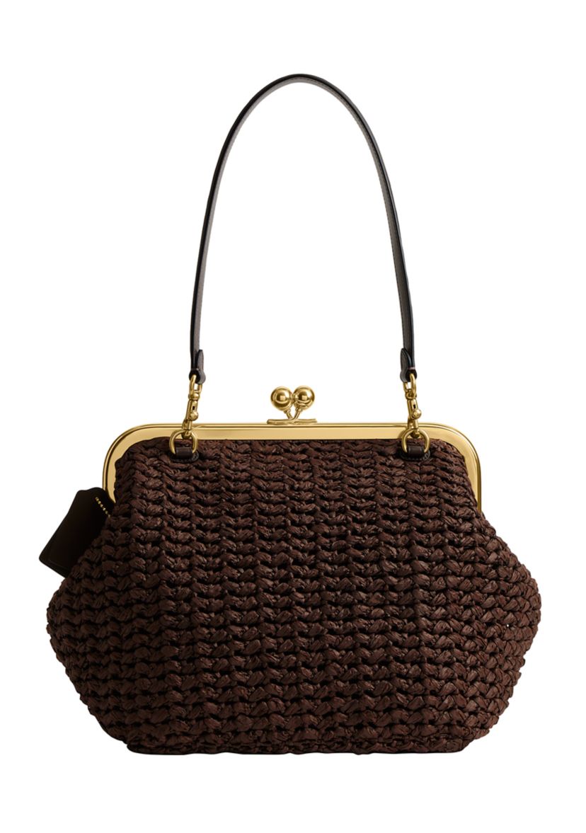 COACH Kisslock Frame Bag 27 | Belk