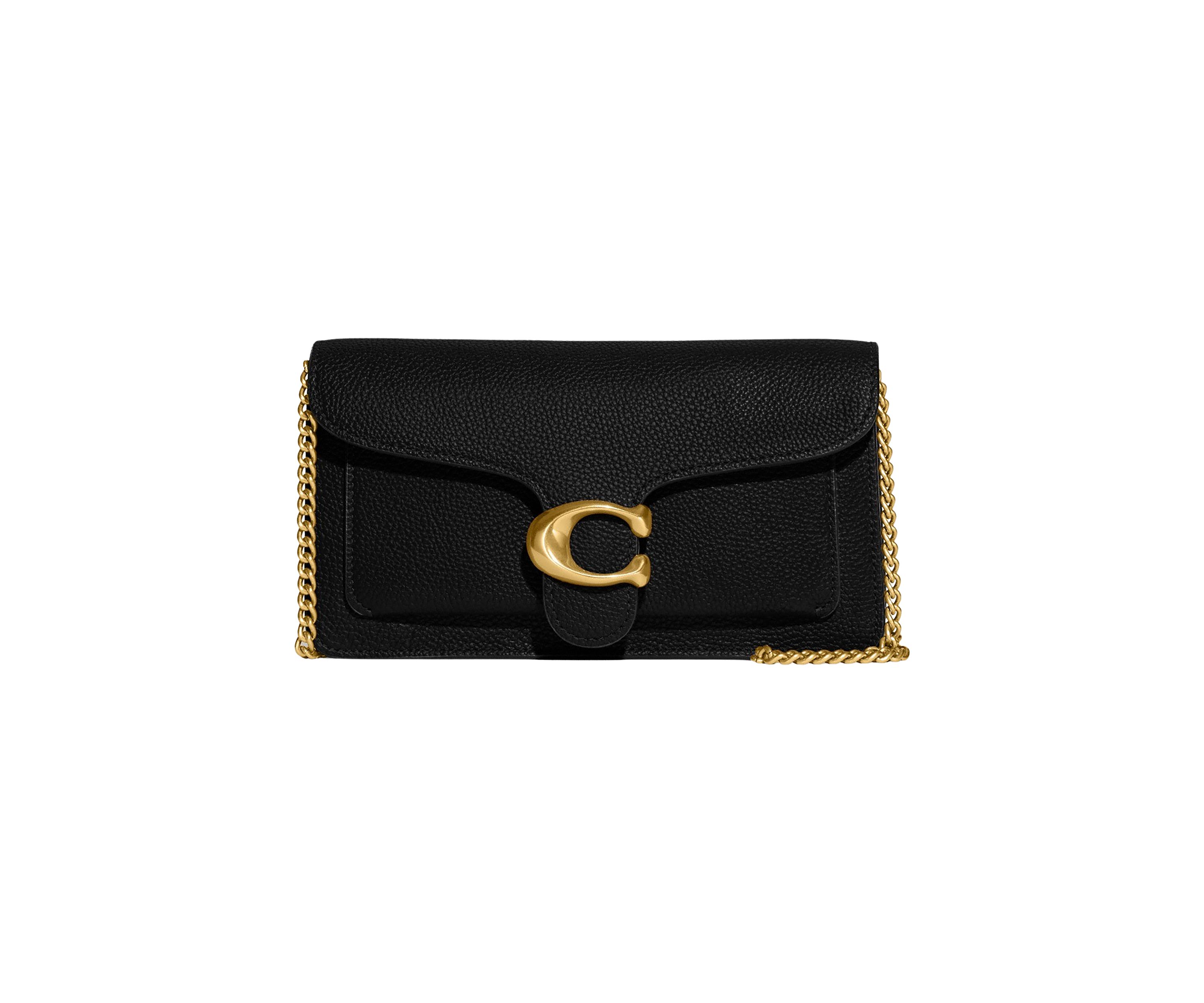 Polished Pebble Tabby Chain Clutch