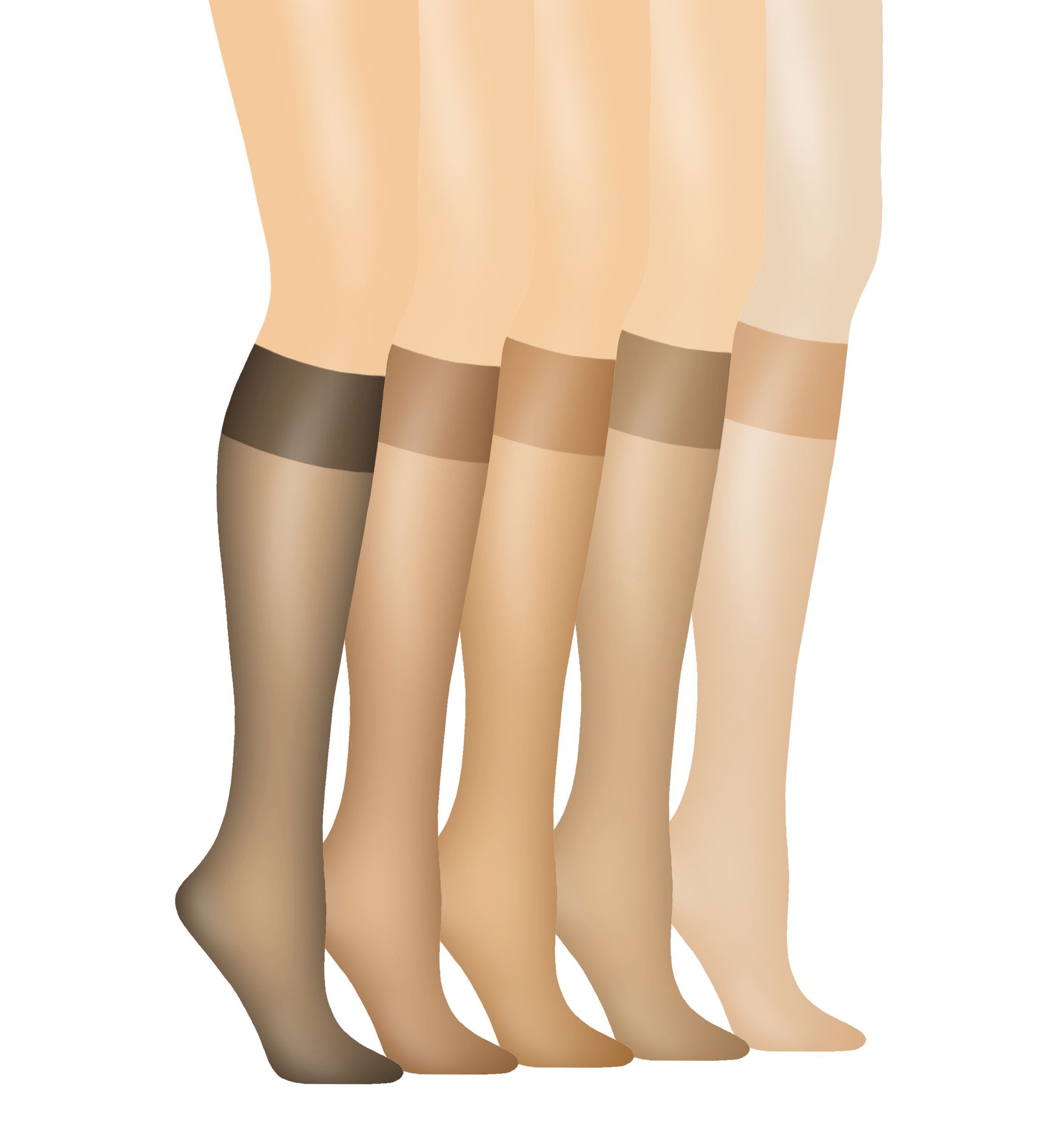 Silk Reflections Silky Sheer Knee High 2 Pack