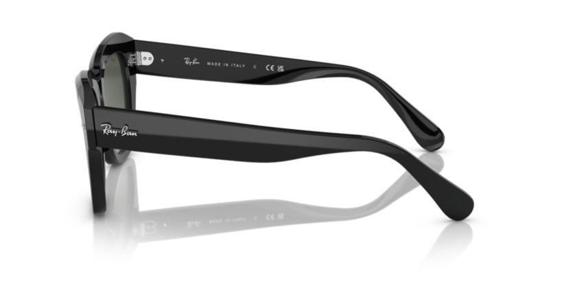 RB2186 State Street Sunglasses