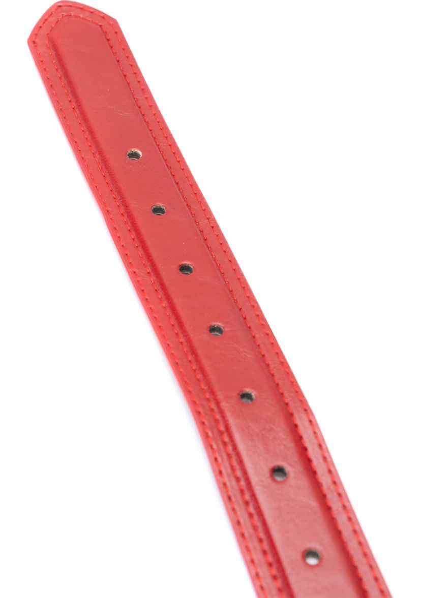 Two Tone Hardware Belt 