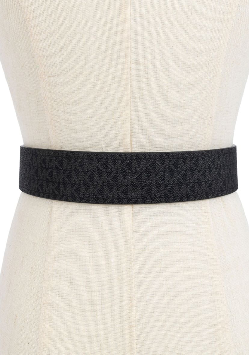 Reversible Belt