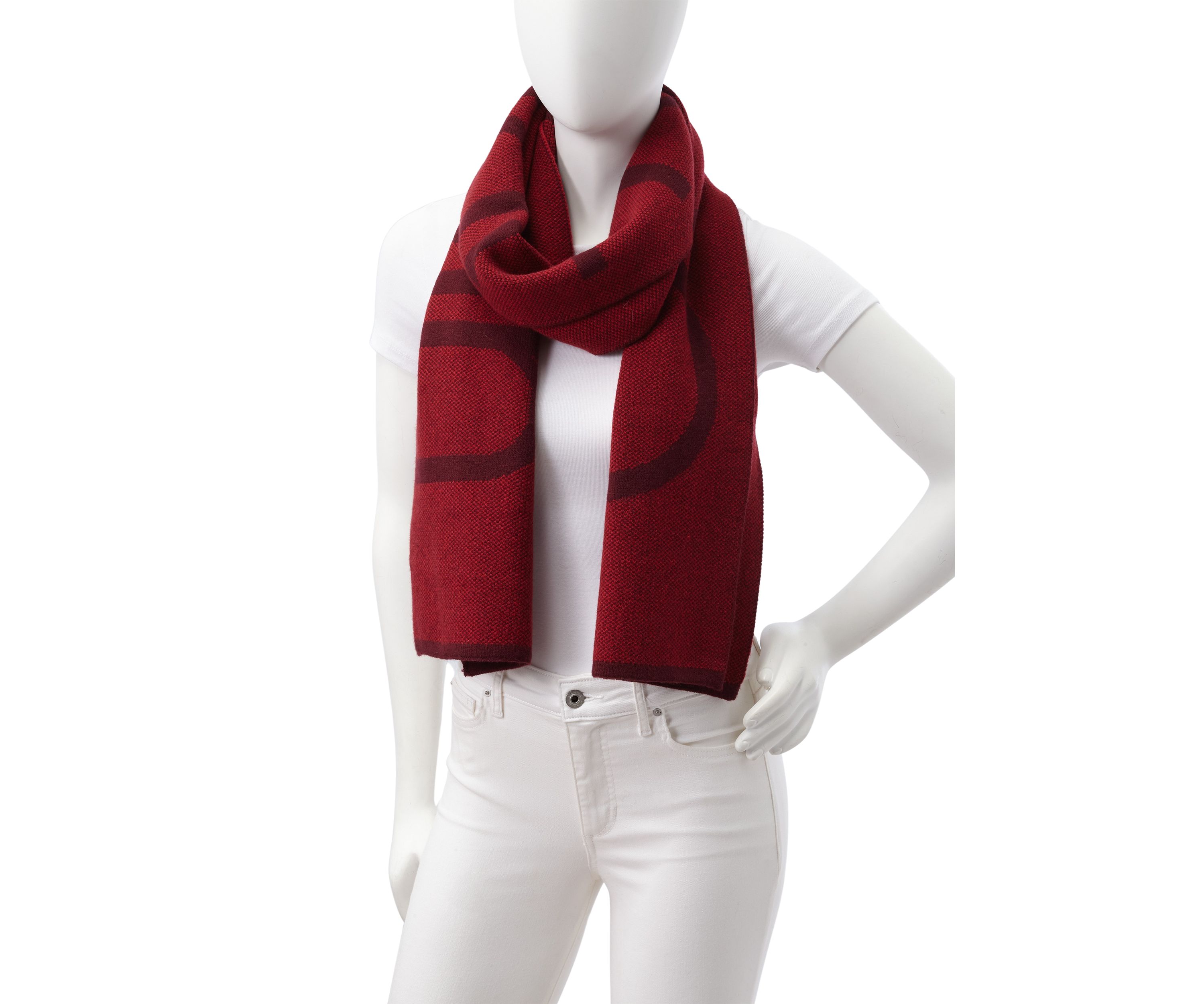 Birds Eye Logo Scarf