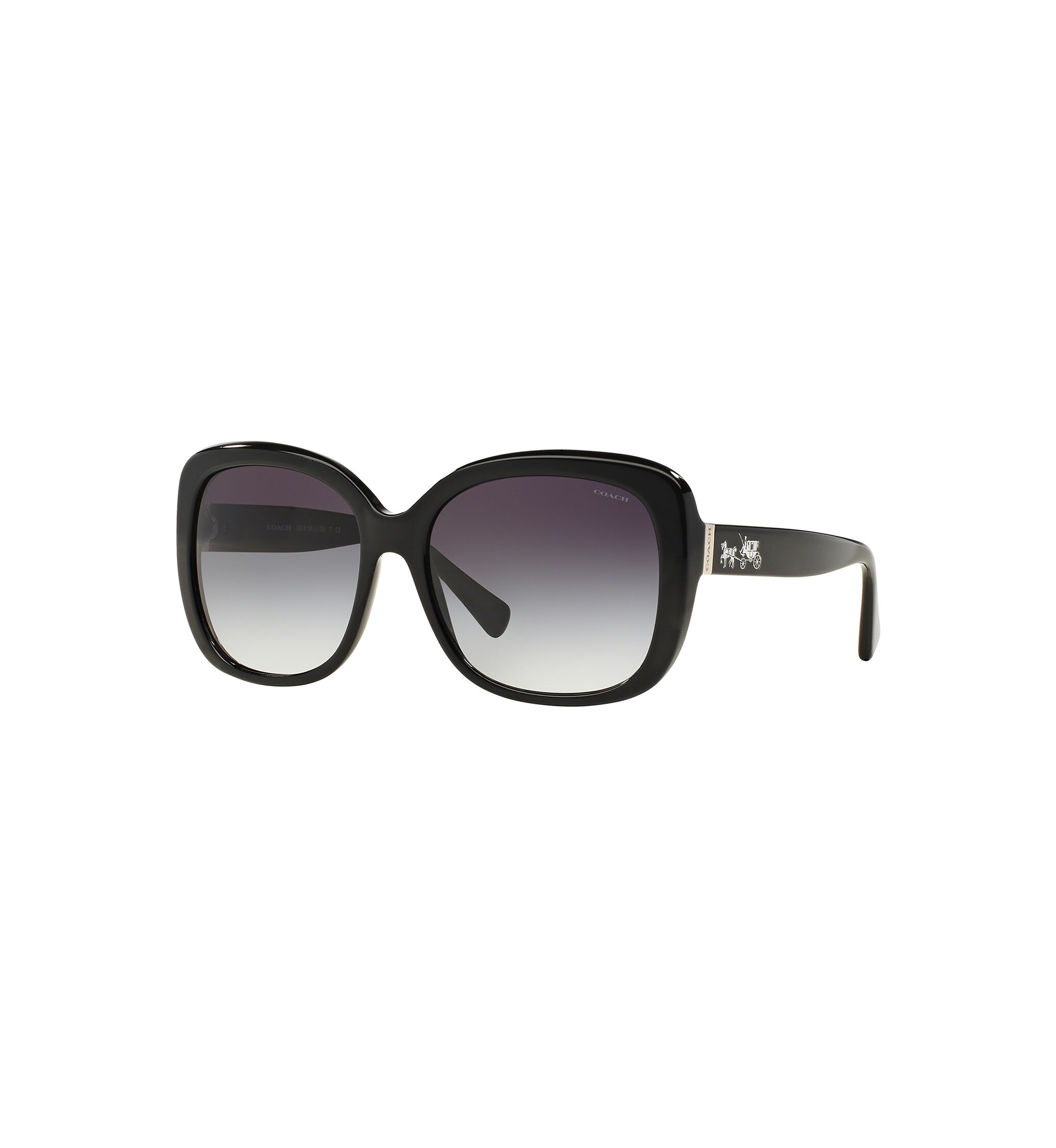 Tortoise Sunglasses