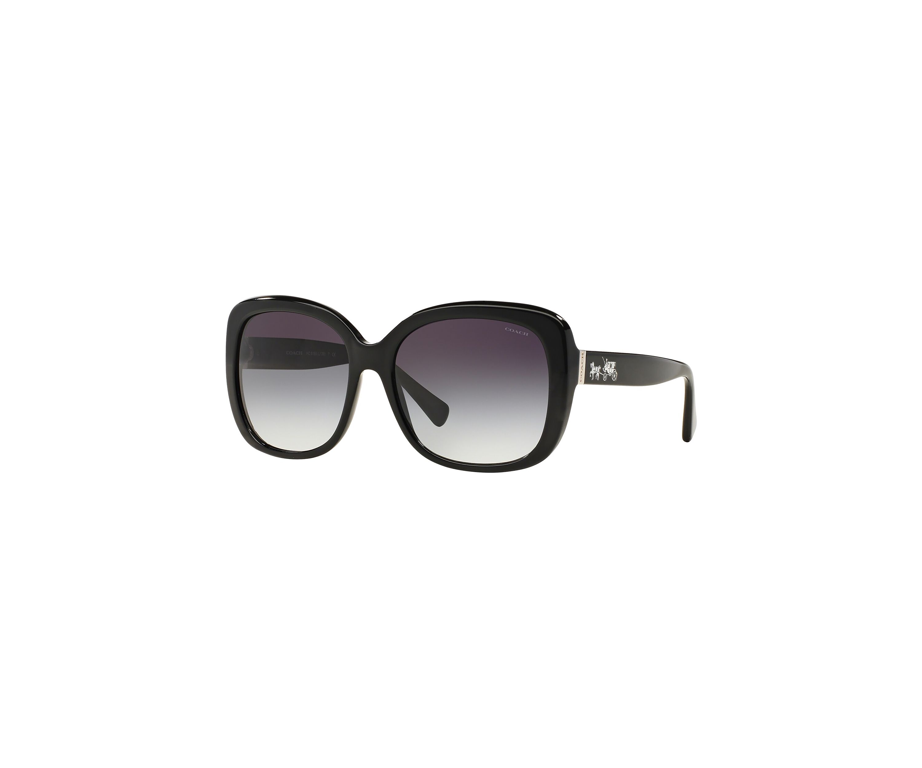 Tortoise Sunglasses