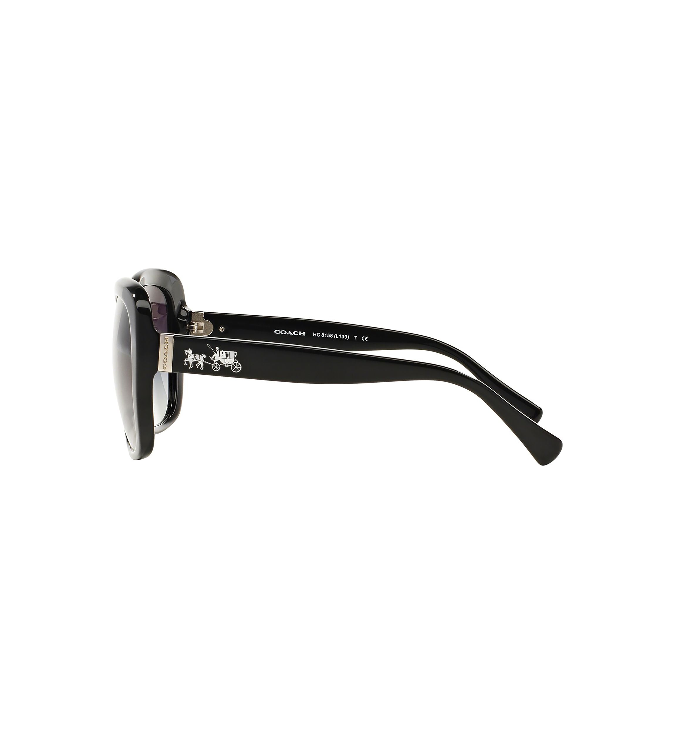 Tortoise Sunglasses