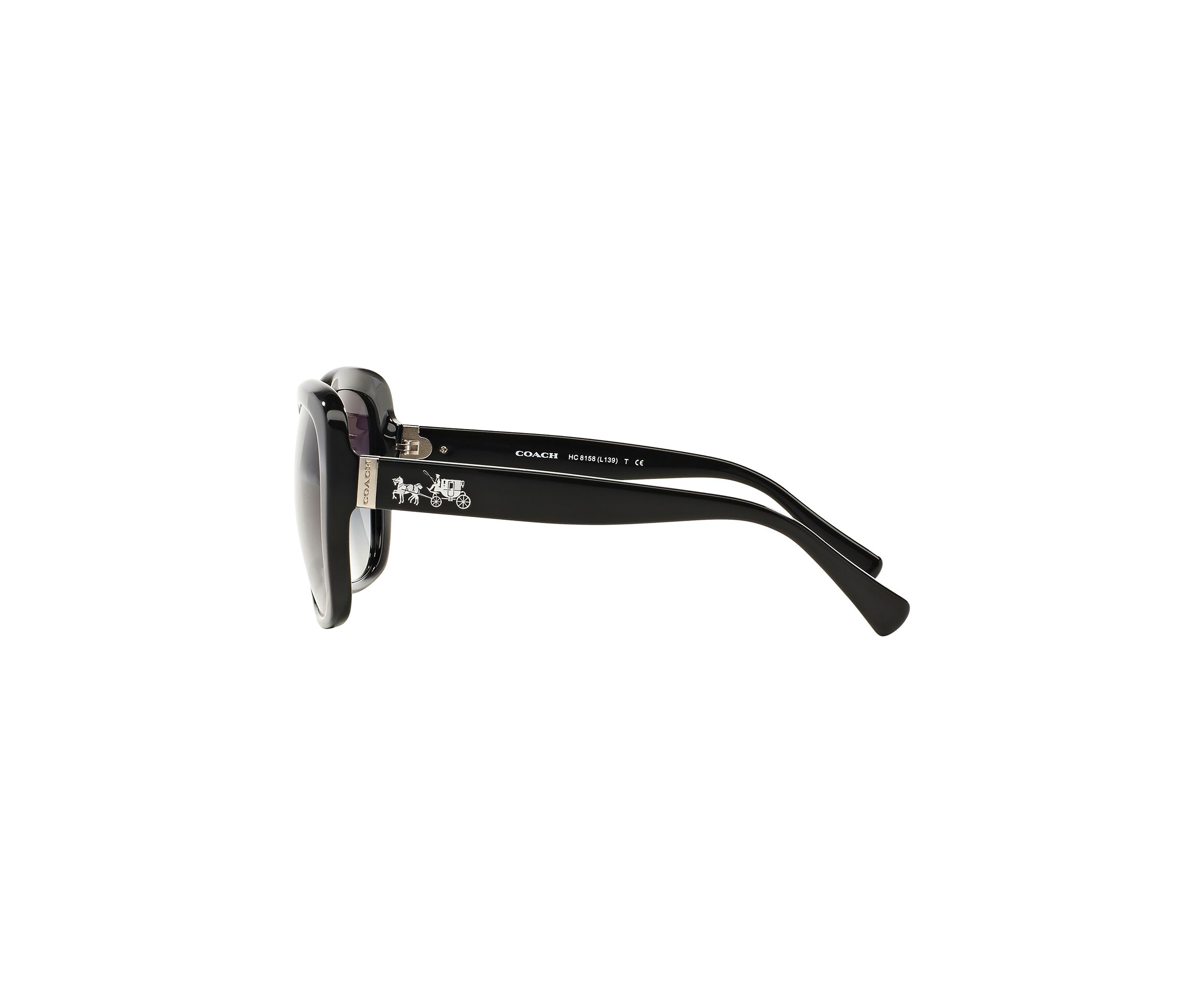 Tortoise Sunglasses
