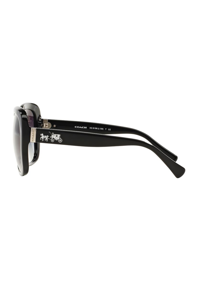 Tortoise Sunglasses