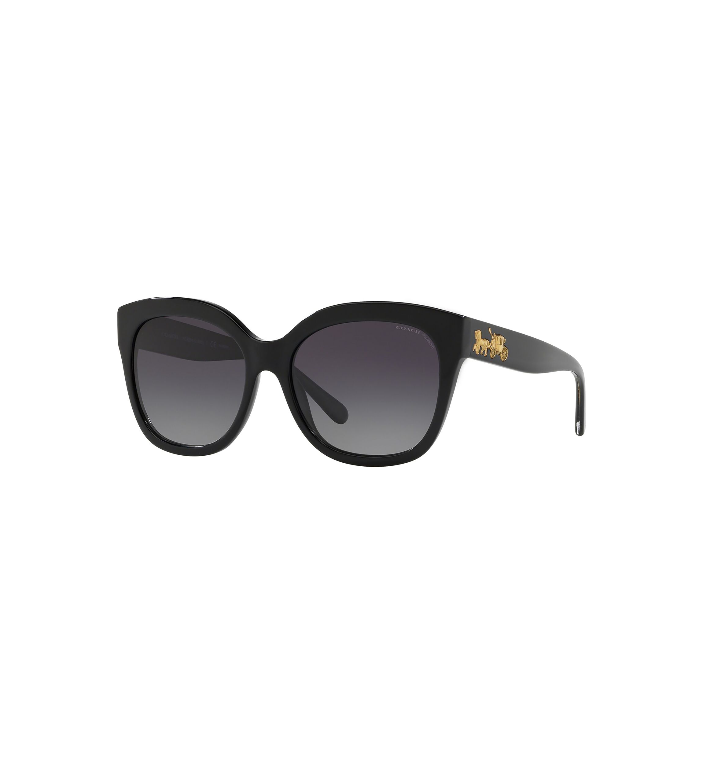 Polarized Sunglasses