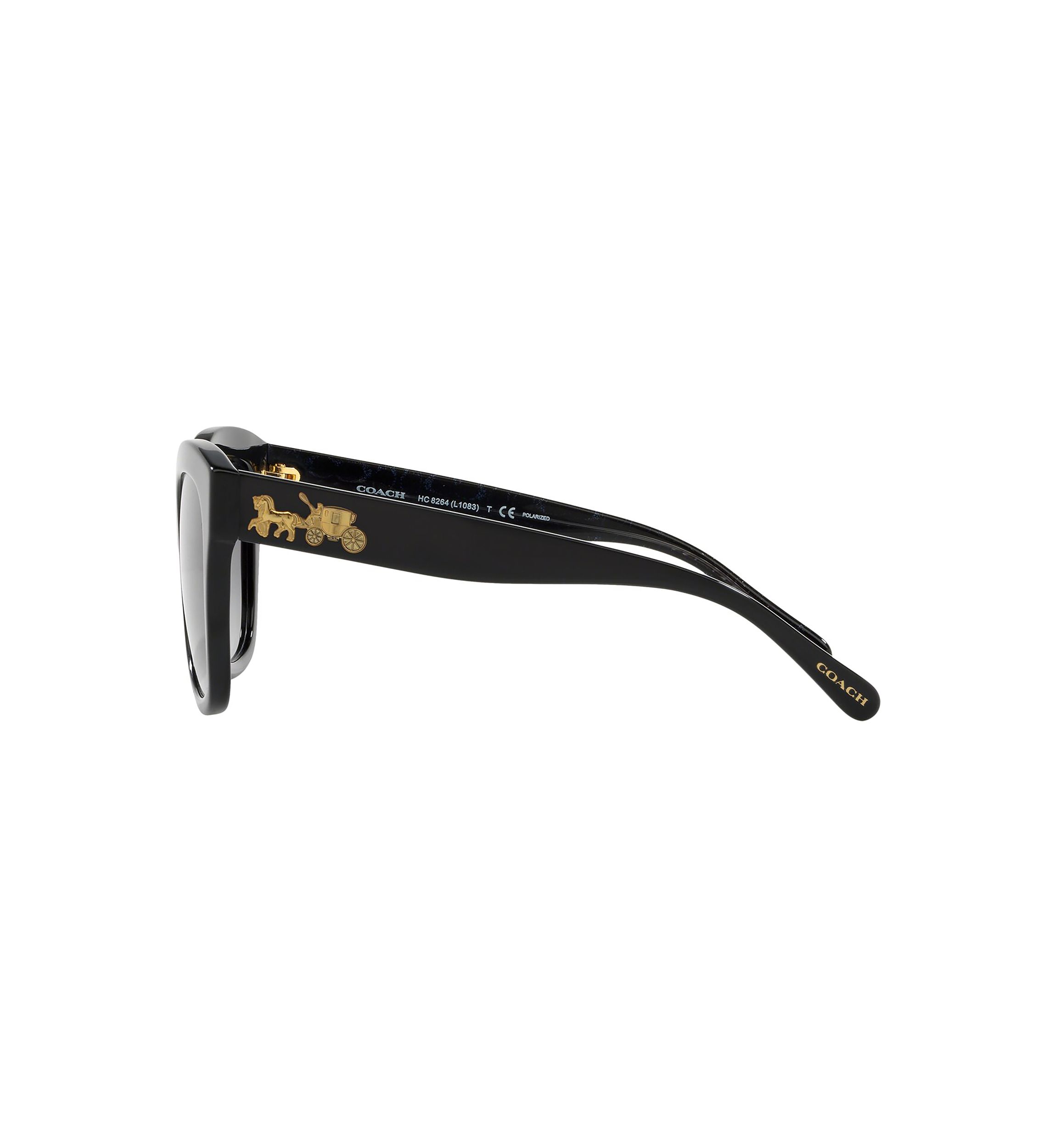 Polarized Sunglasses