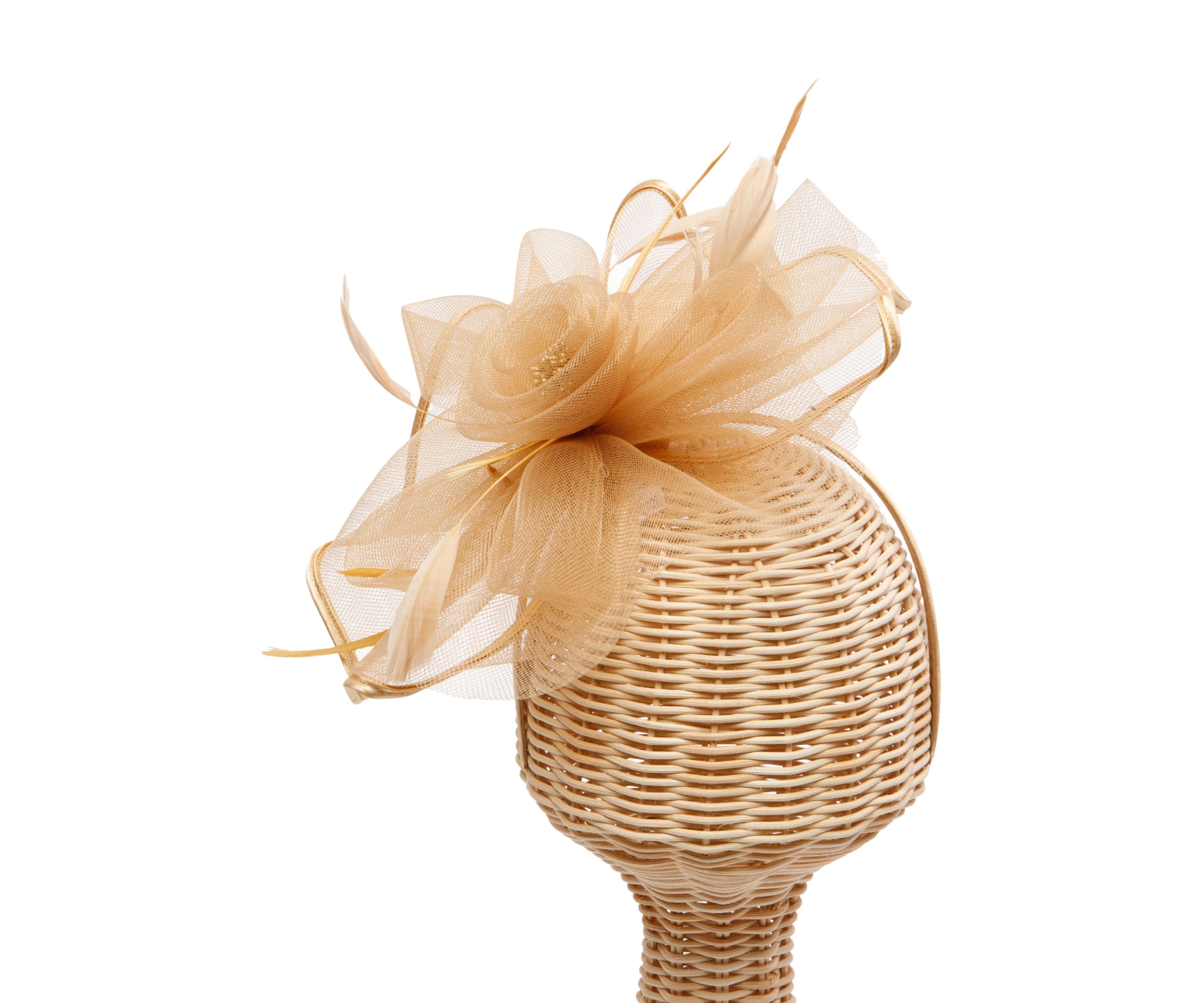 Sheer  Fascinator