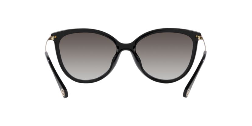 MK2184U Dupont Sunglasses
