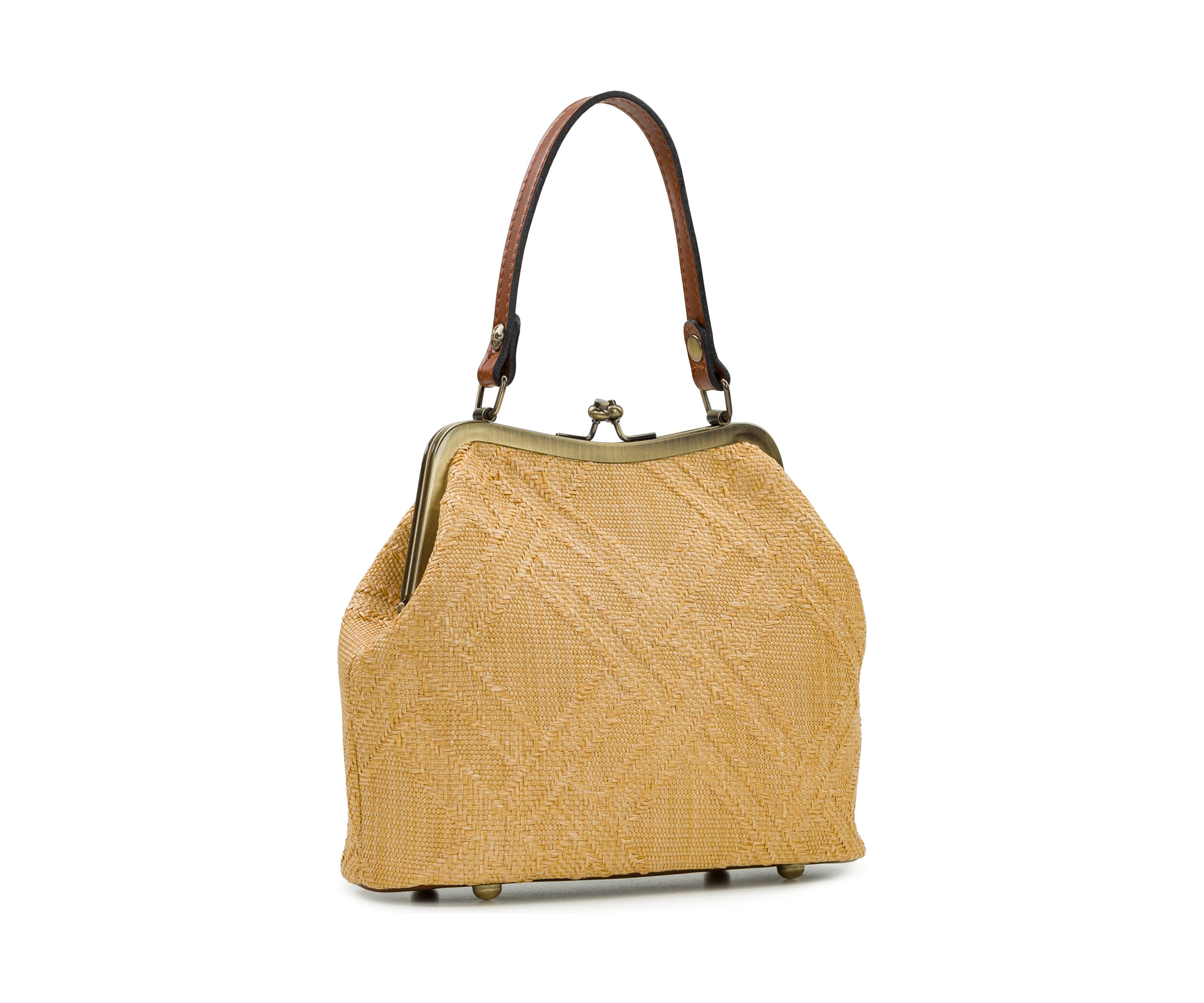  Laureana Frame Satchel