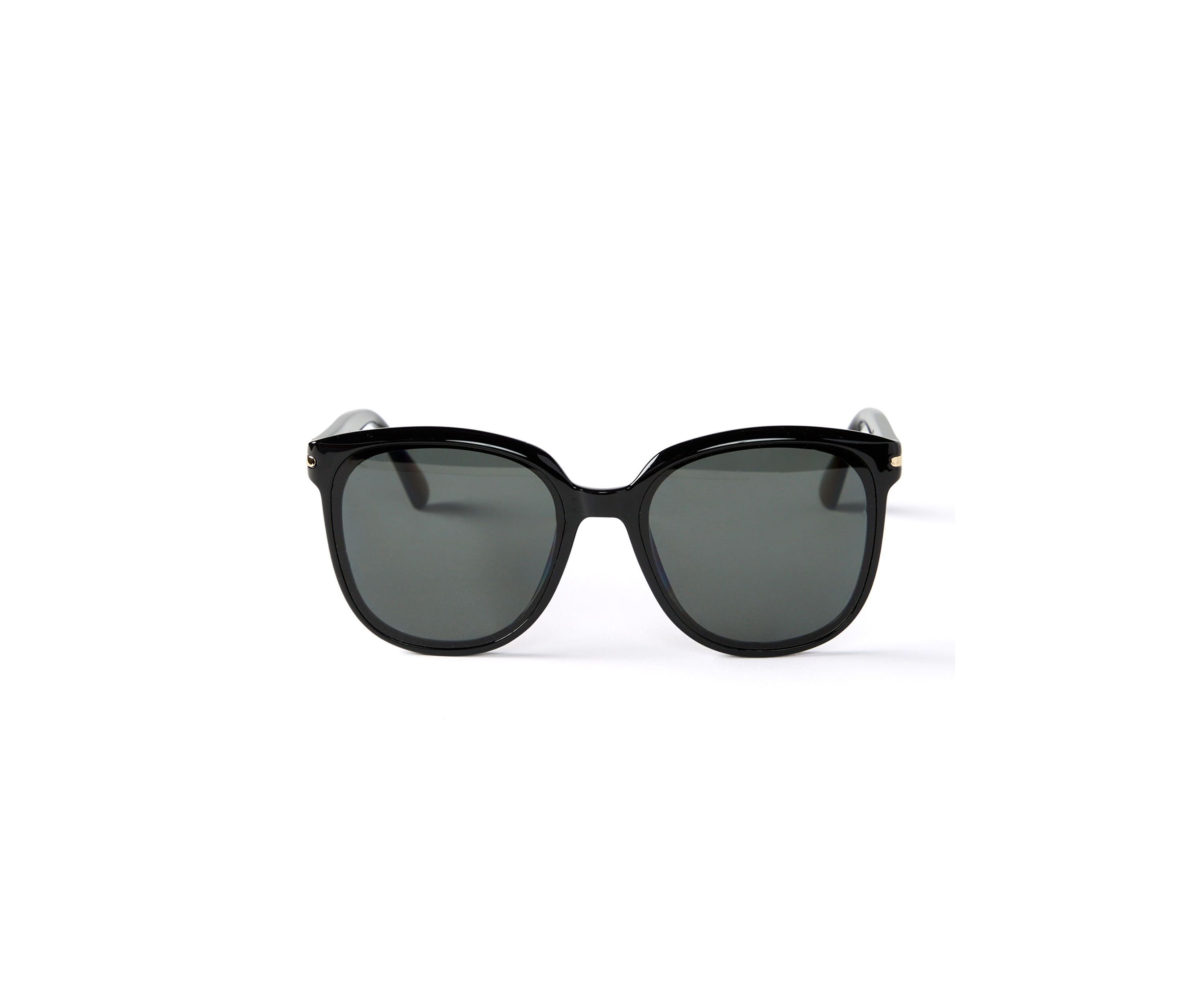 Rent Free Sunglasses 
