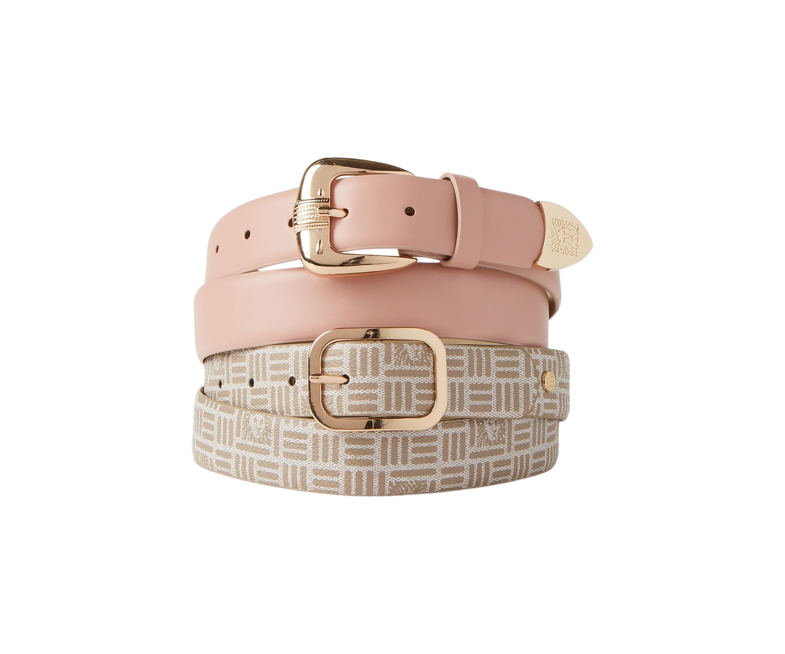 The Lion and Western Glam Belt Set