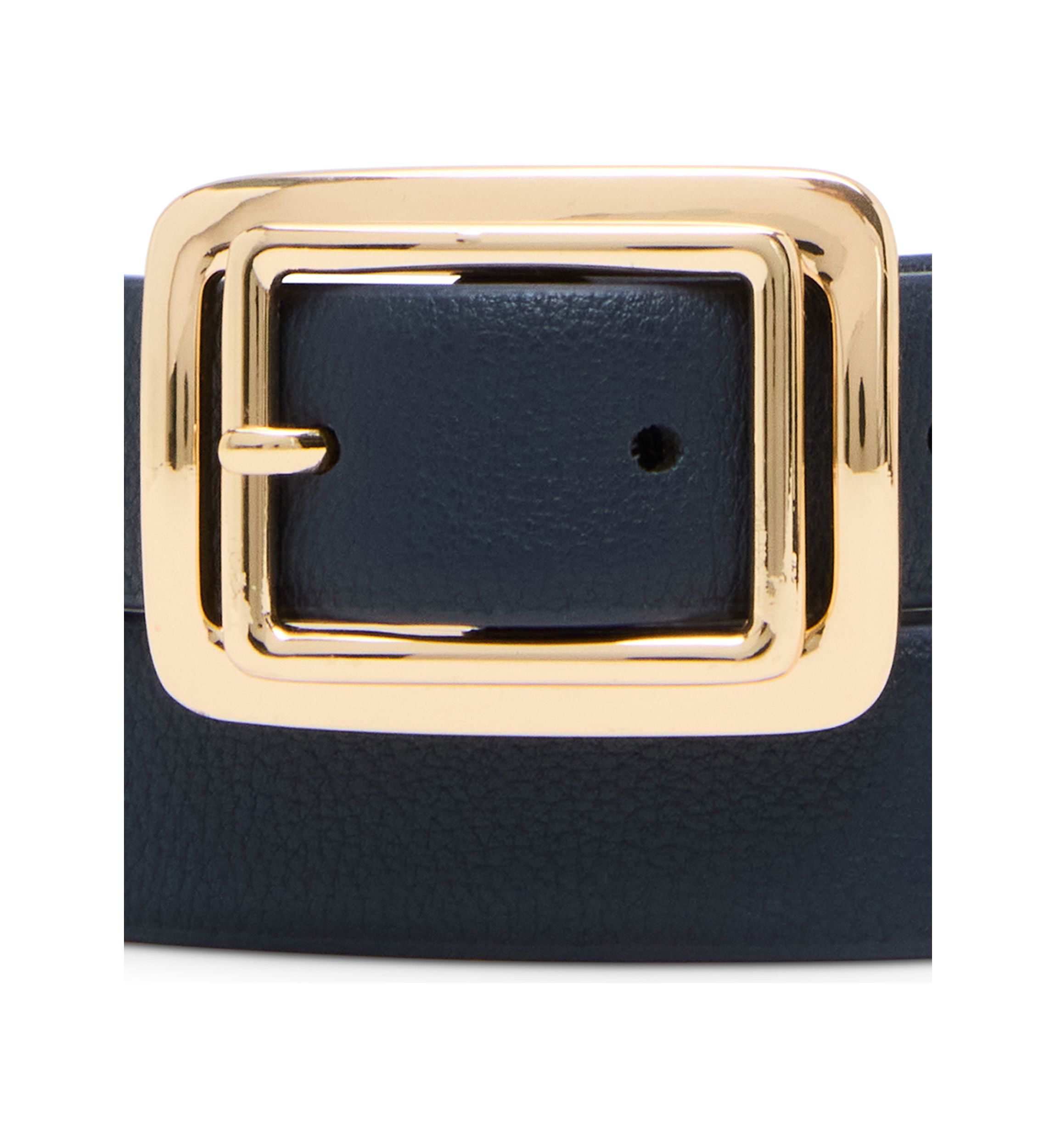 Pant Belt