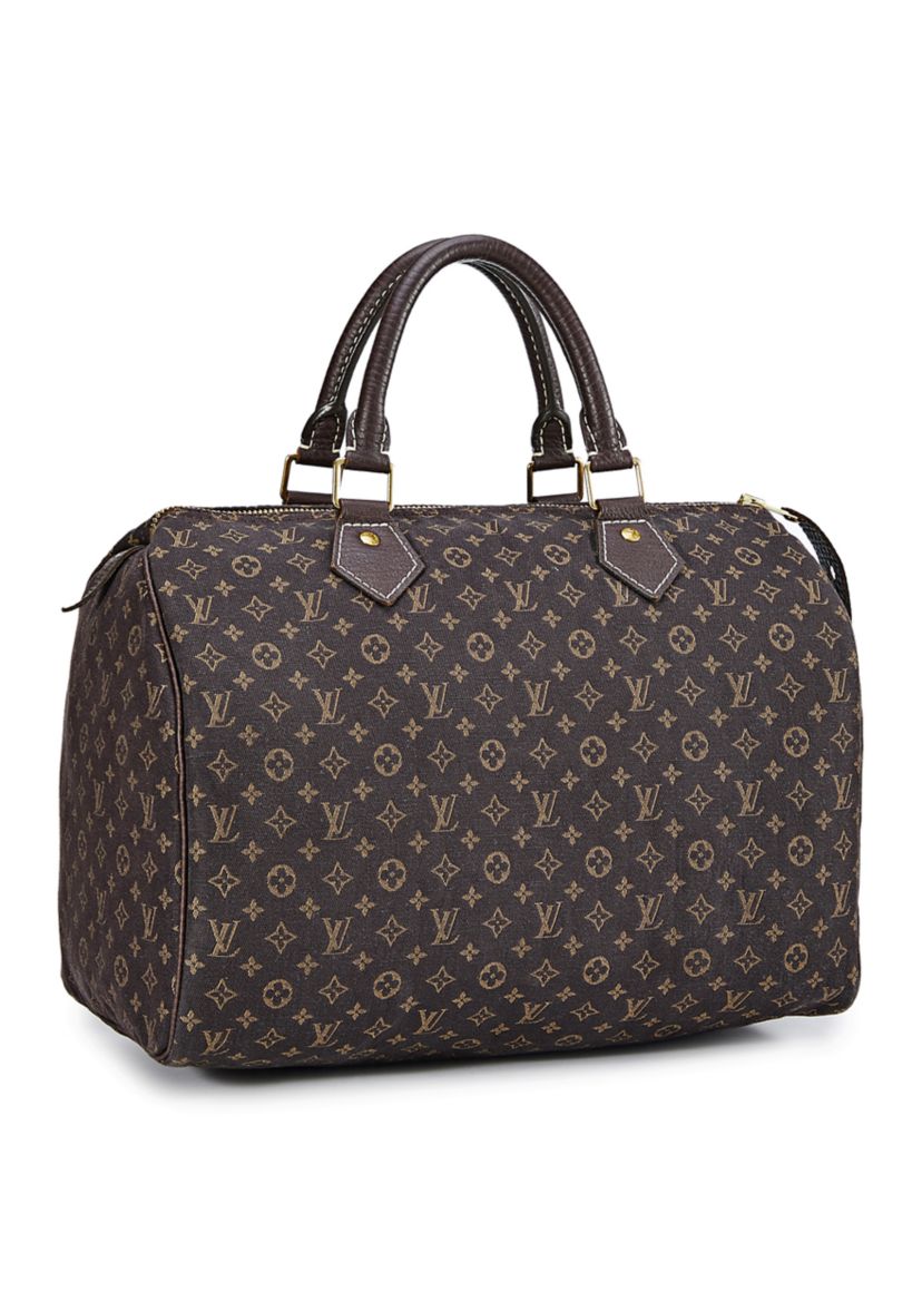 Louis Vuitton Mini Lin Speedy 30 - FINAL SALE, NO RETURNS