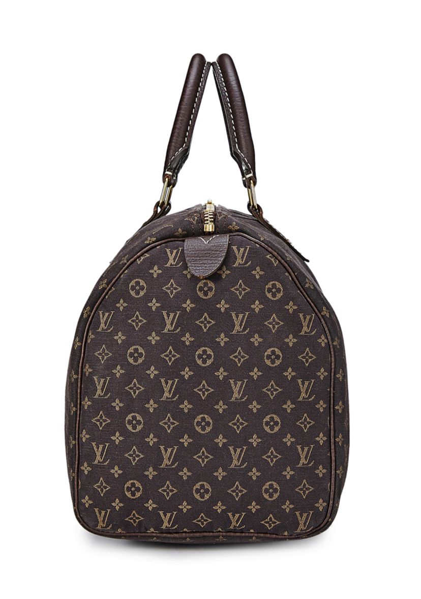 Louis Vuitton Mini Lin Speedy 30 - FINAL SALE, NO RETURNS