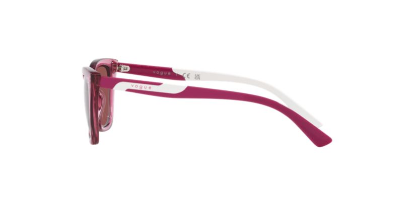VJ2020  Sunglasses