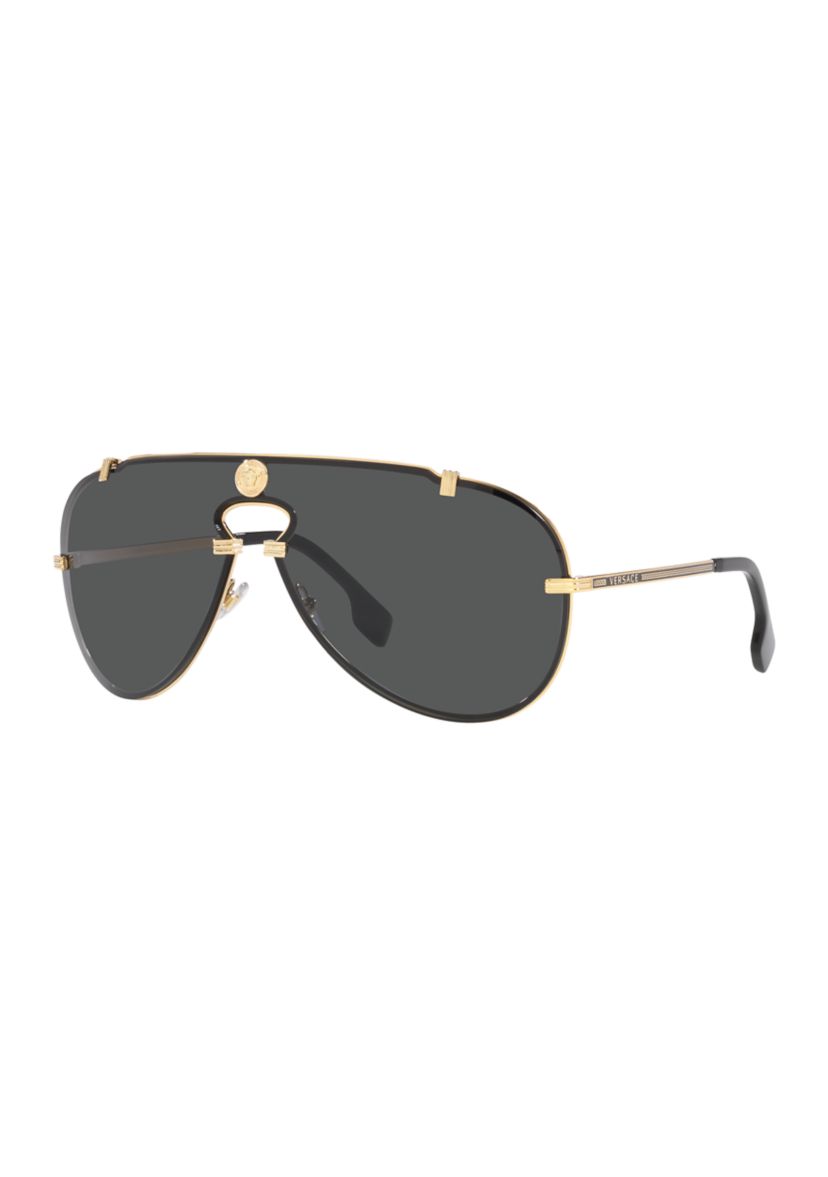VE2243 Sunglasses