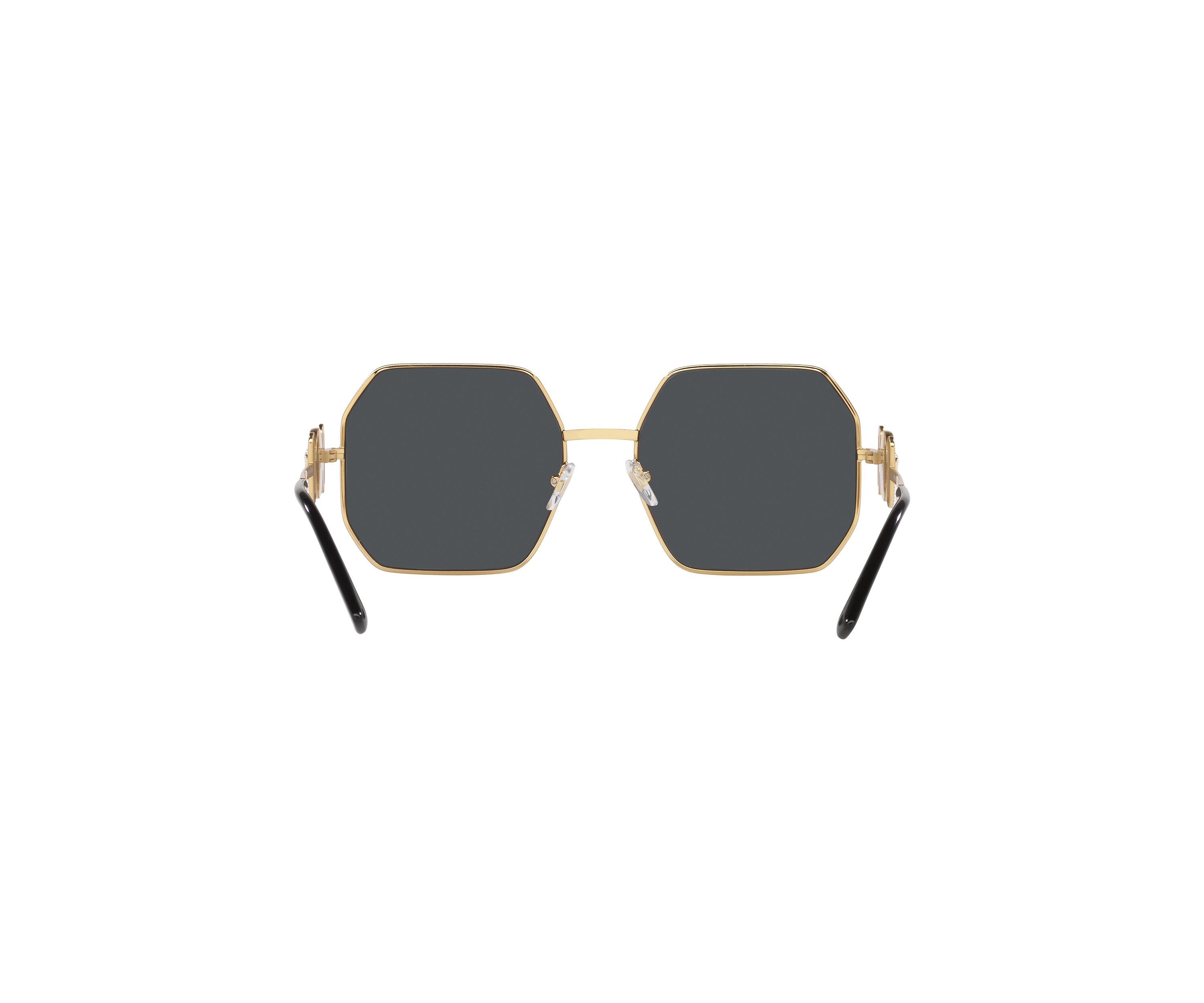 VE2248 Sunglasses