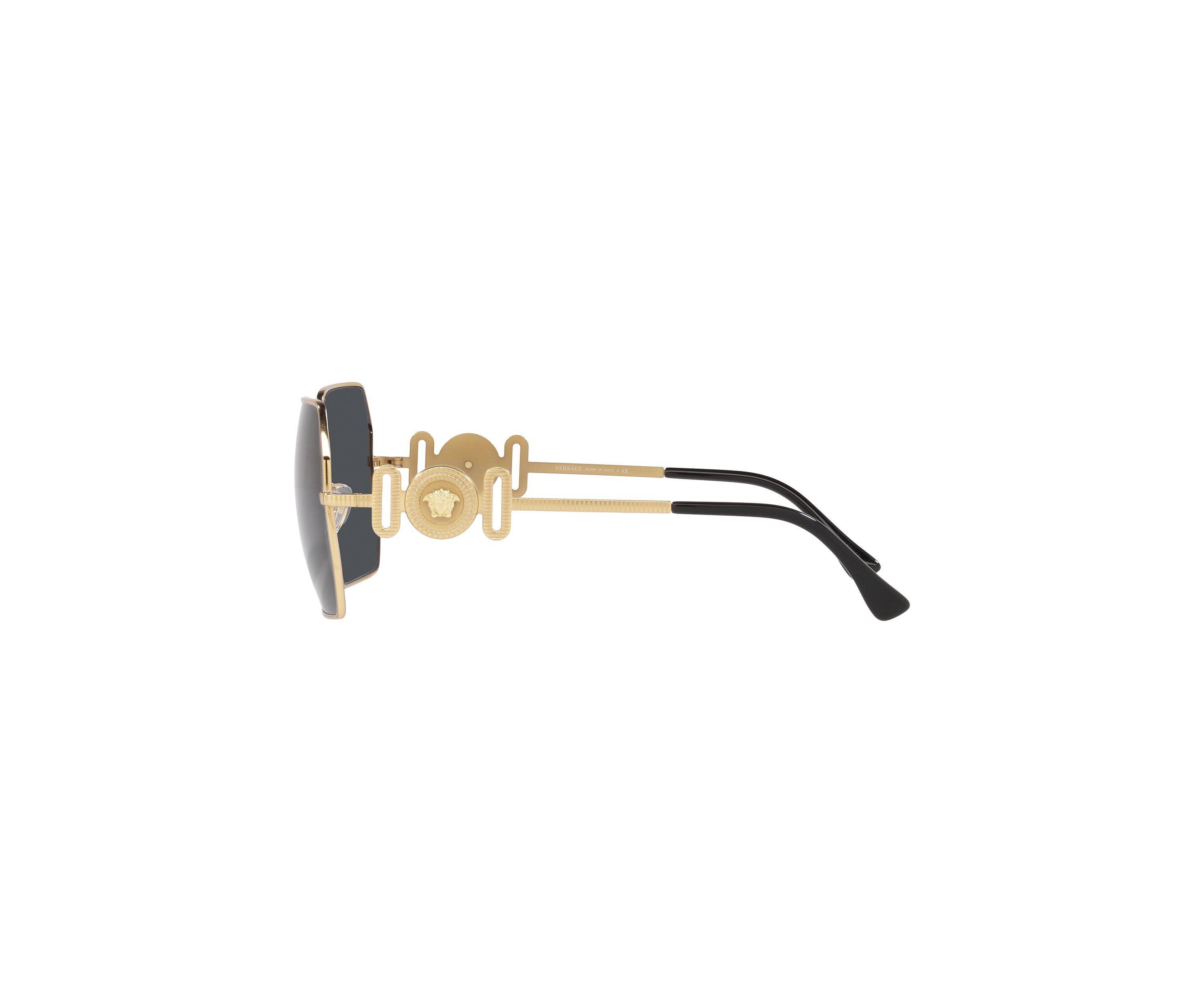 VE2248 Sunglasses