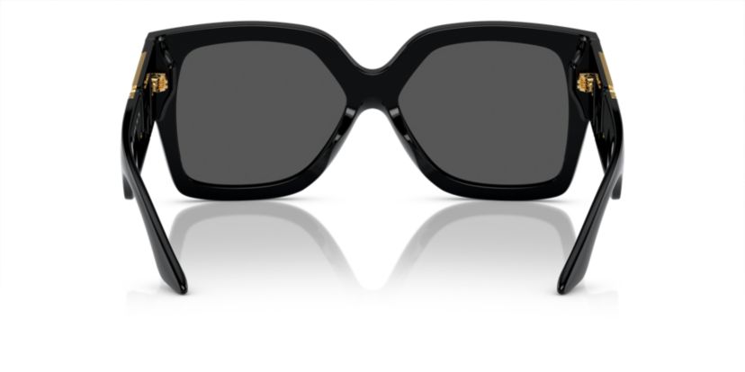 VE4402  Sunglasses