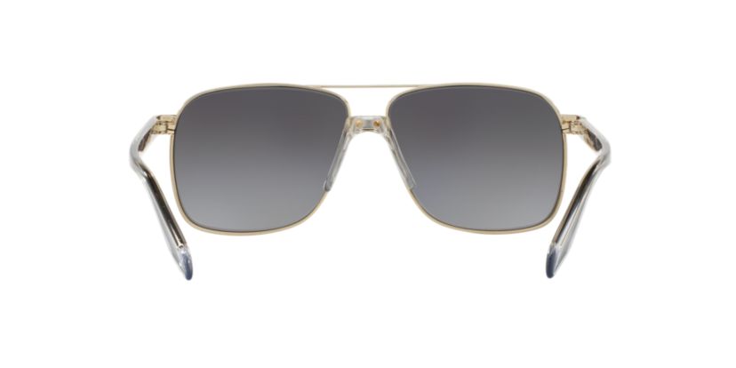 VE2174  Polarized Sunglasses