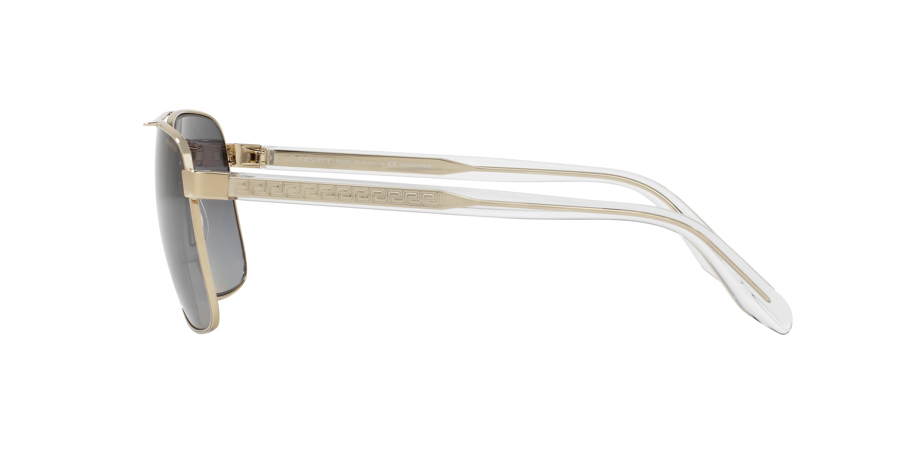 VE2174  Polarized Sunglasses