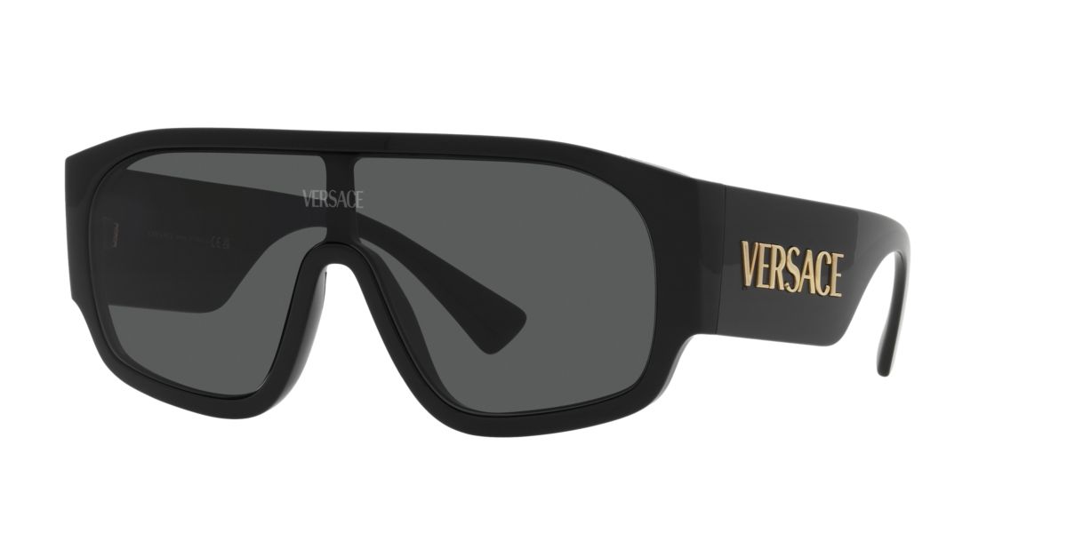 VE4439 Sunglasses