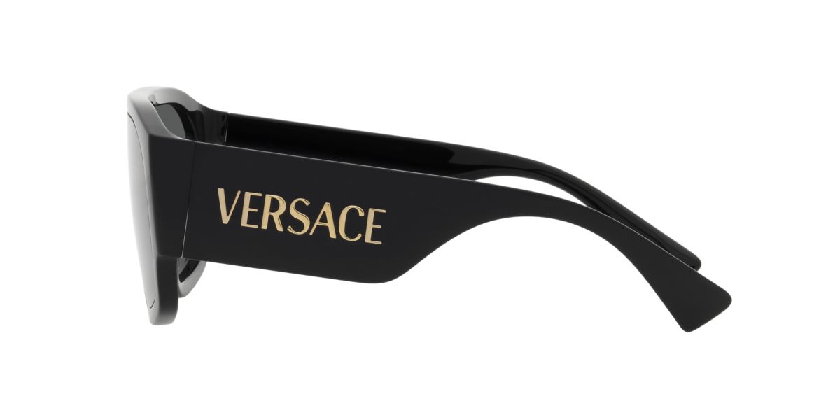 VE4439 Sunglasses