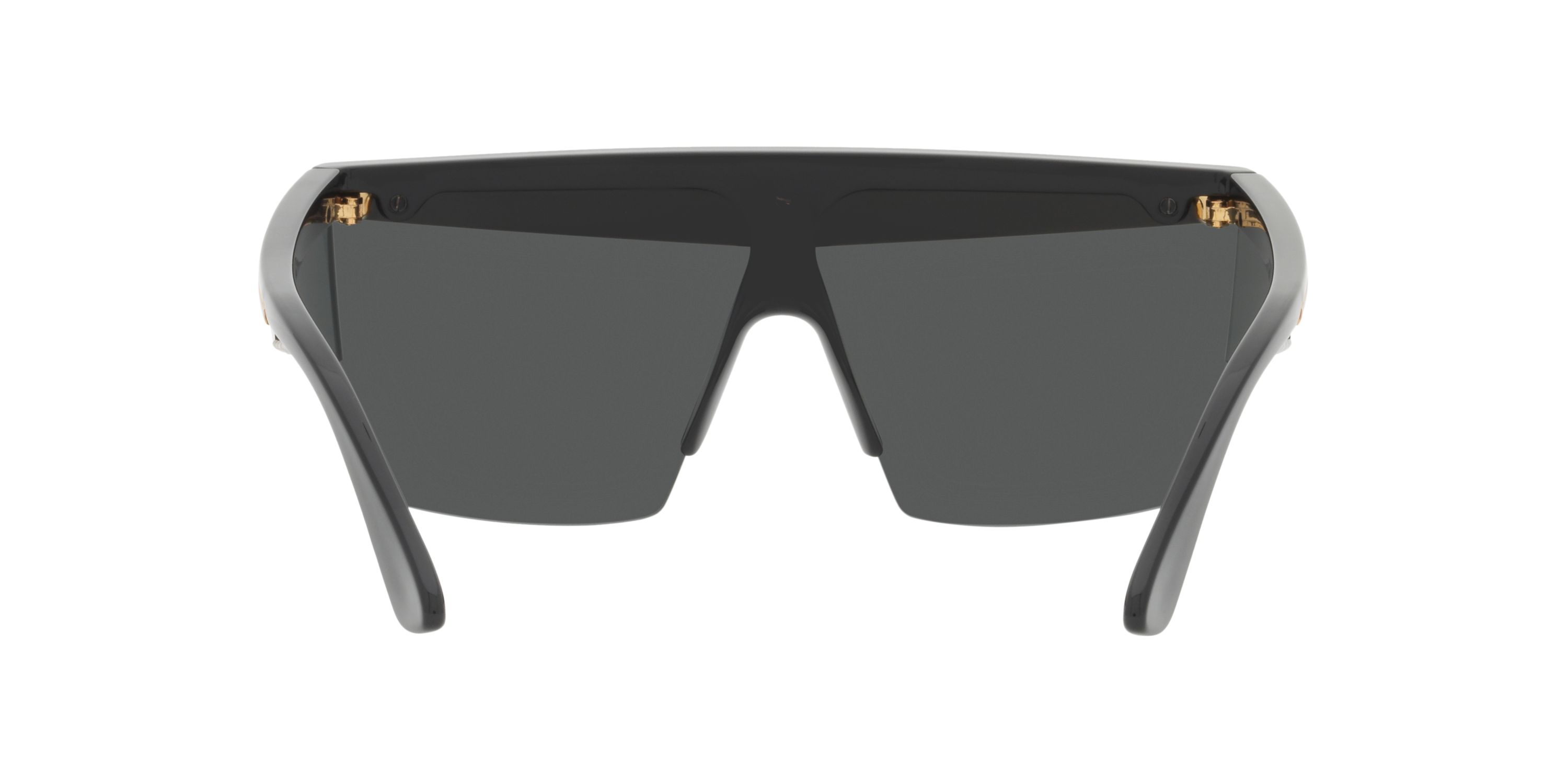 VE2254 Sunglasses