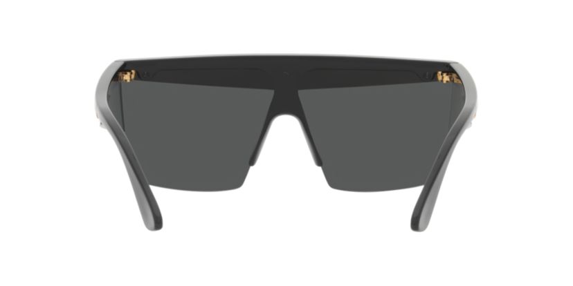VE2254 Sunglasses