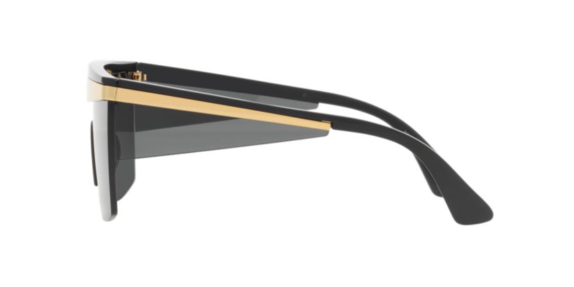 VE2254 Sunglasses