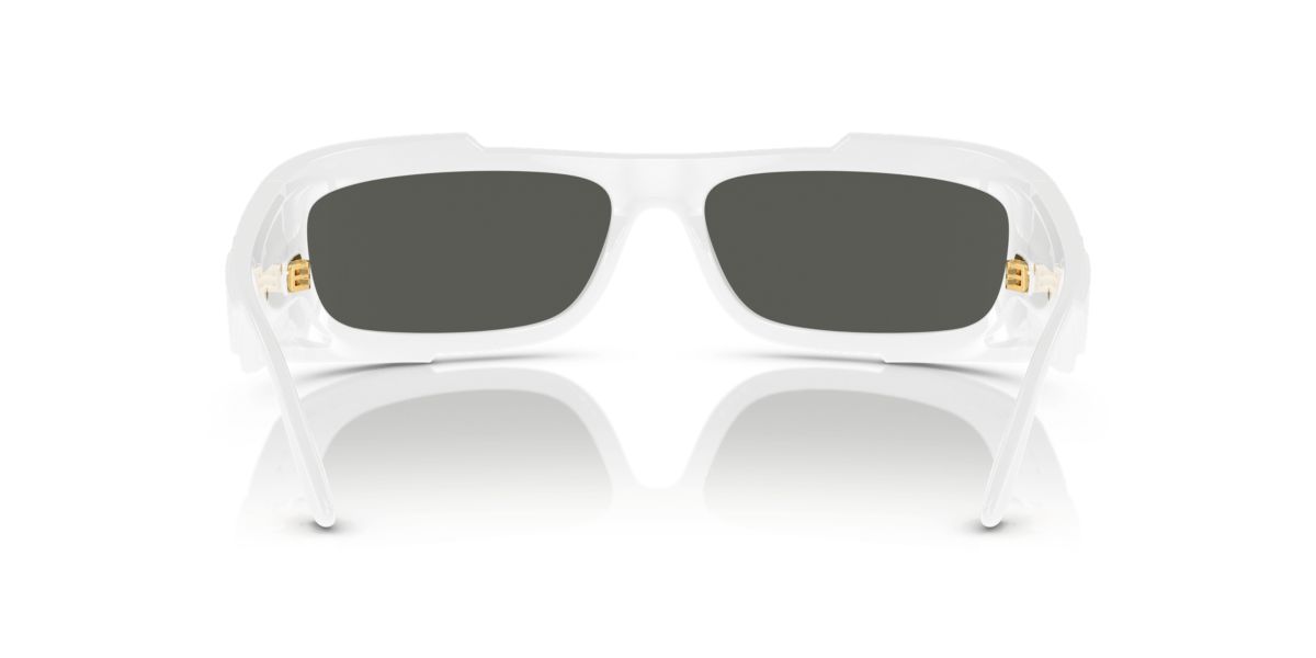 VE4446 Sunglasses