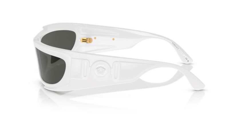 VE4446 Sunglasses