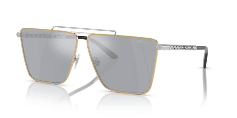 VE2266  Sunglasses