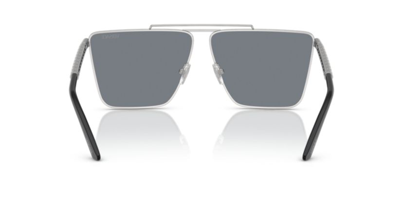 VE2266  Sunglasses