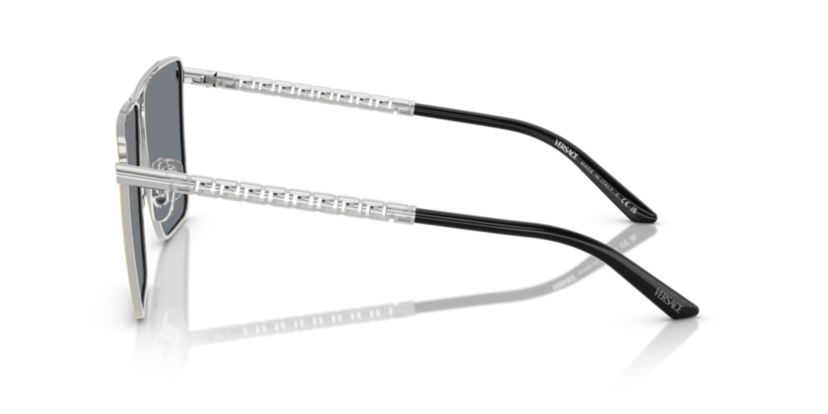 VE2266  Sunglasses