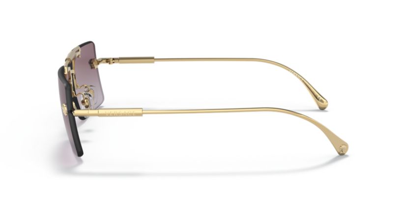 VE2245 Sunglasses