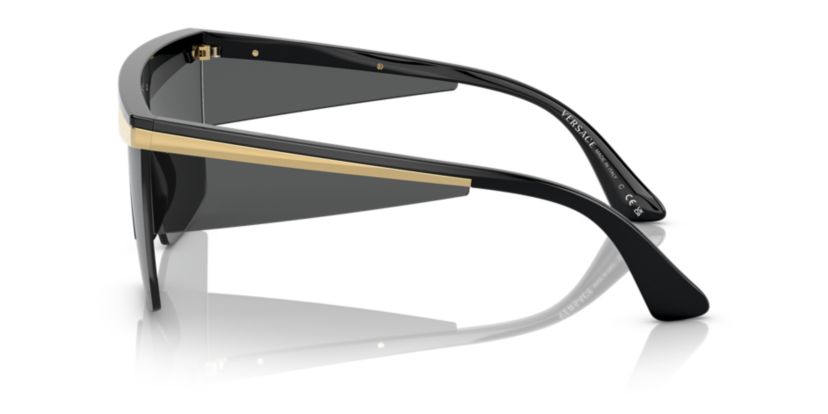 VE2254 Sunglasses