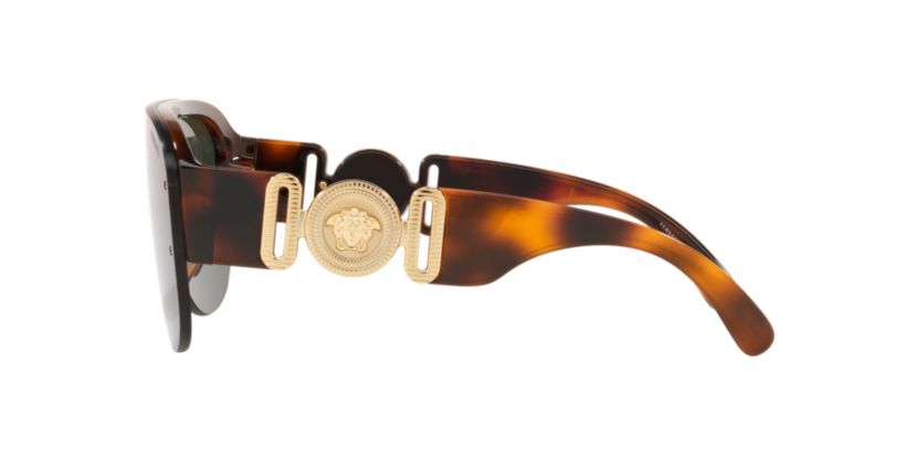 VE4391  Sunglasses