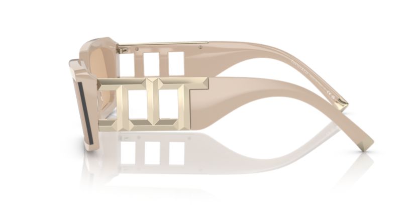 VE4430U Sunglasses