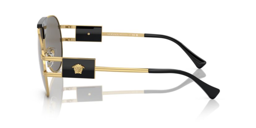 VE2252 Sunglasses