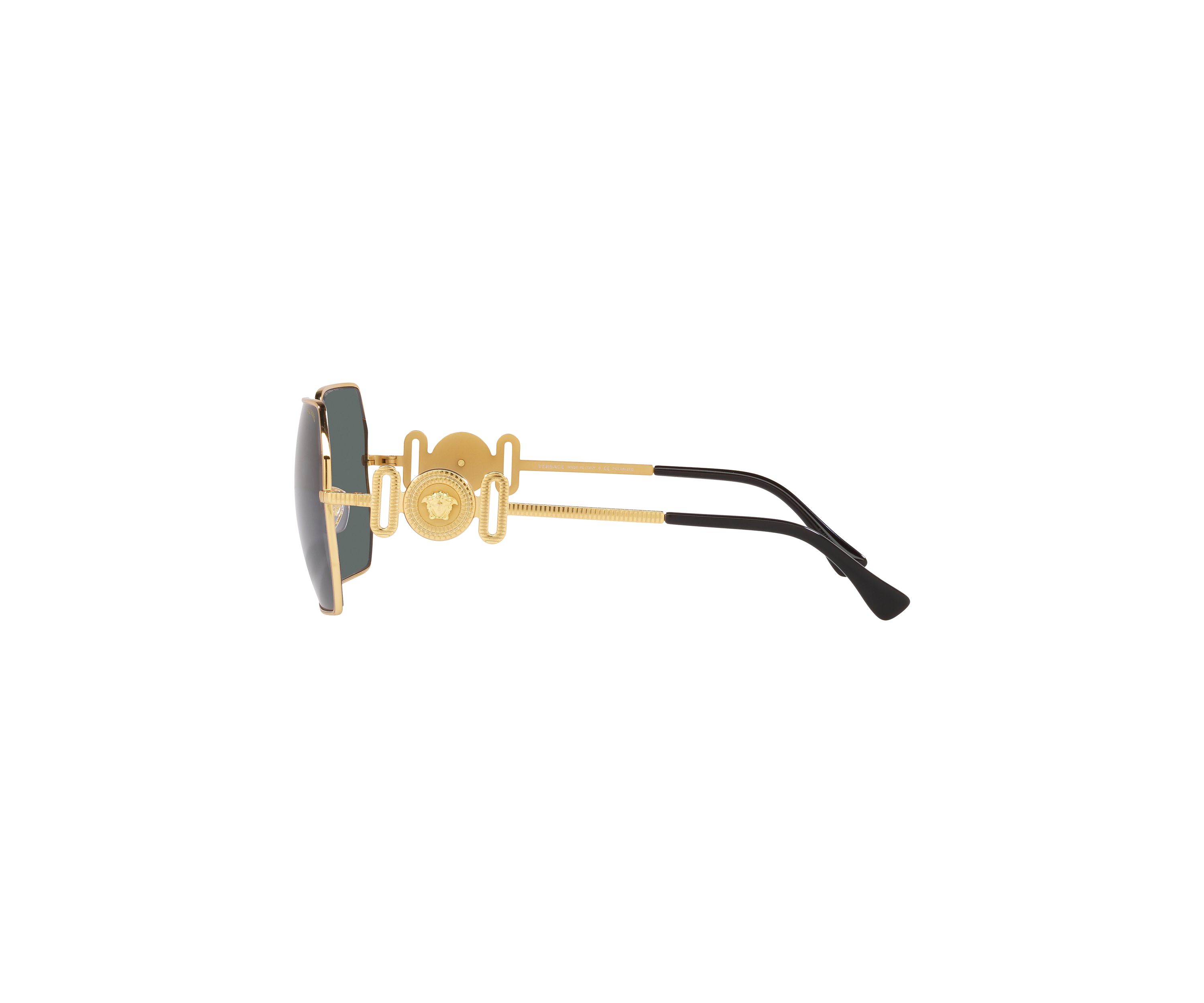 VE2248 Polarized Sunglasses