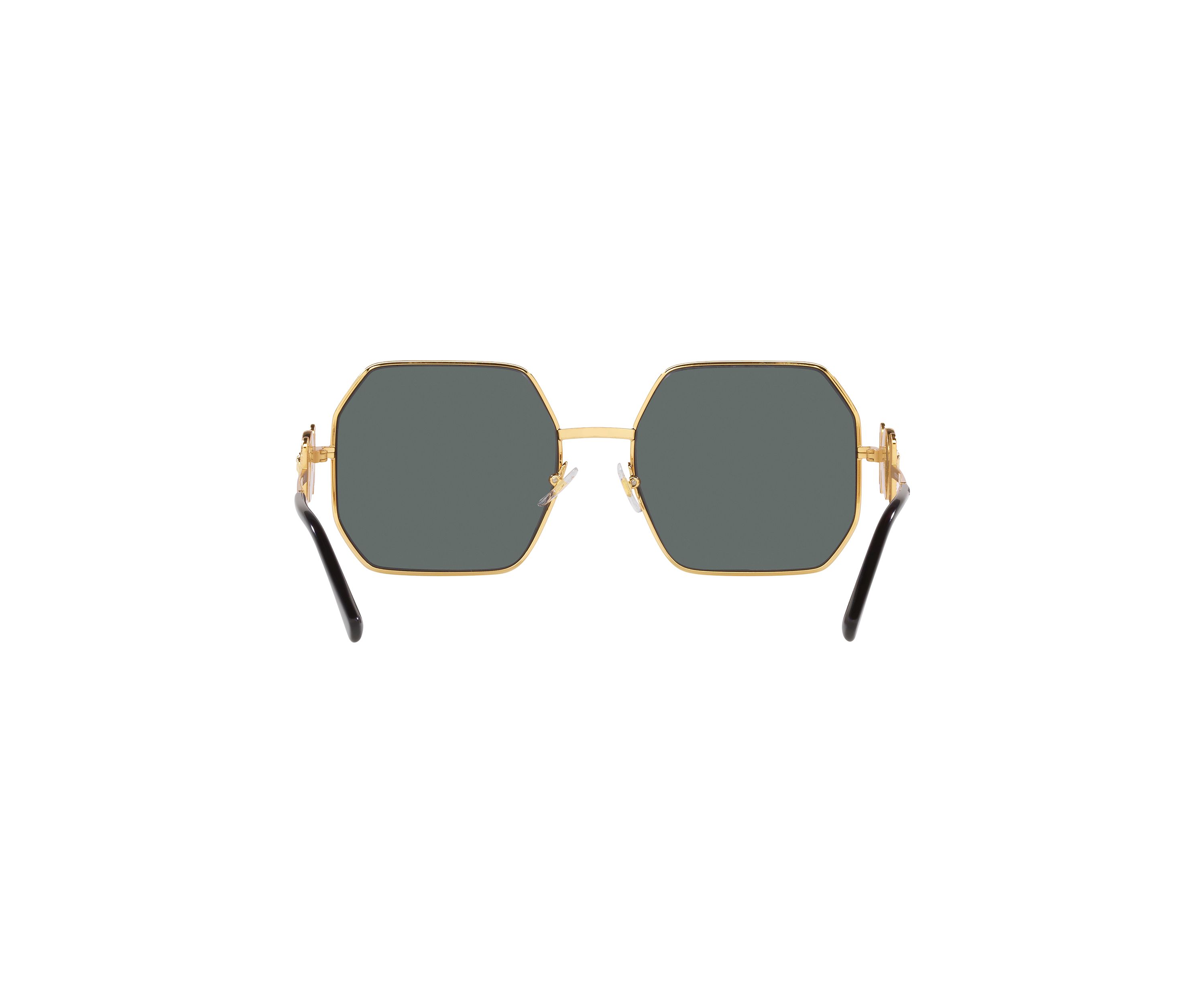 VE2248 Polarized Sunglasses