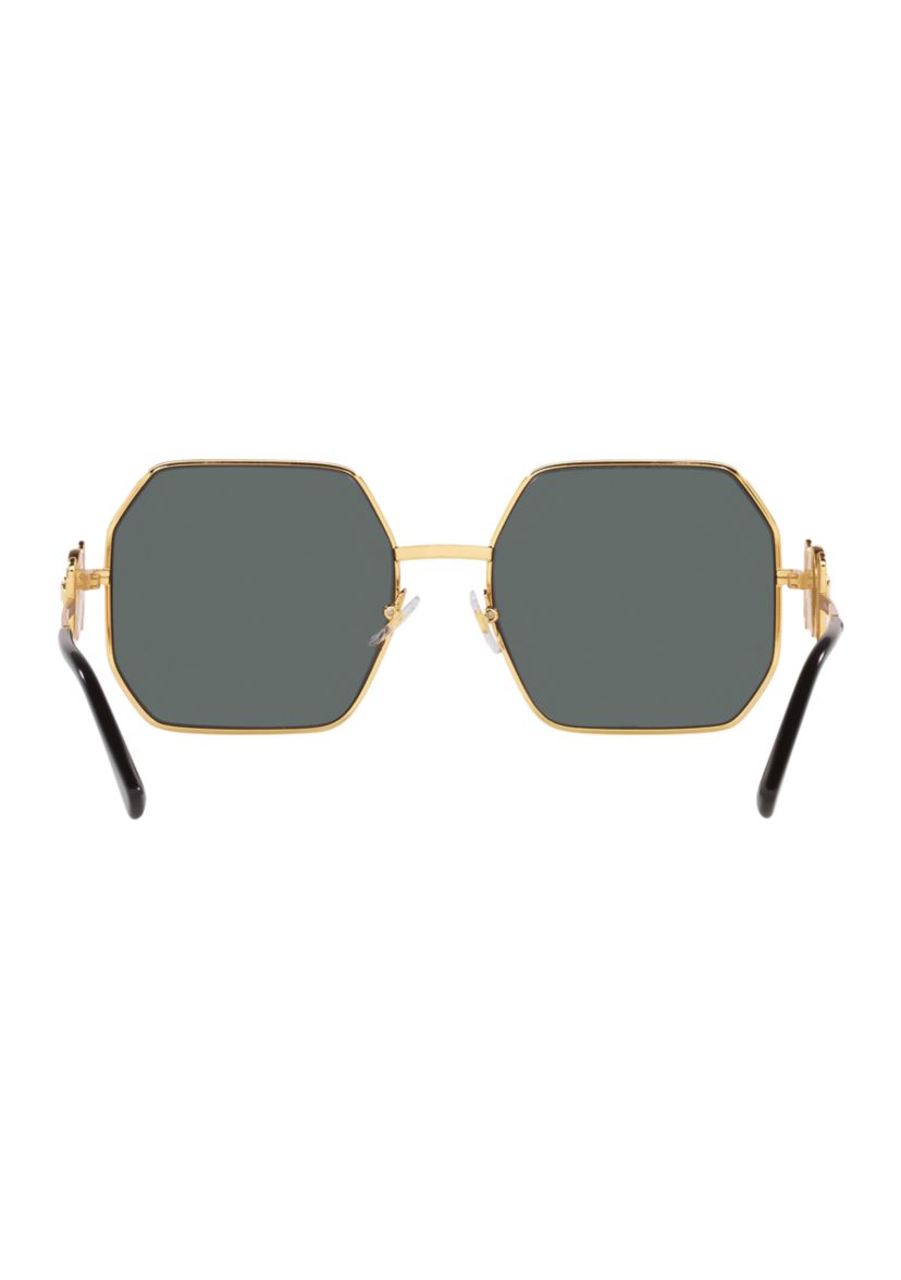VE2248 Polarized Sunglasses