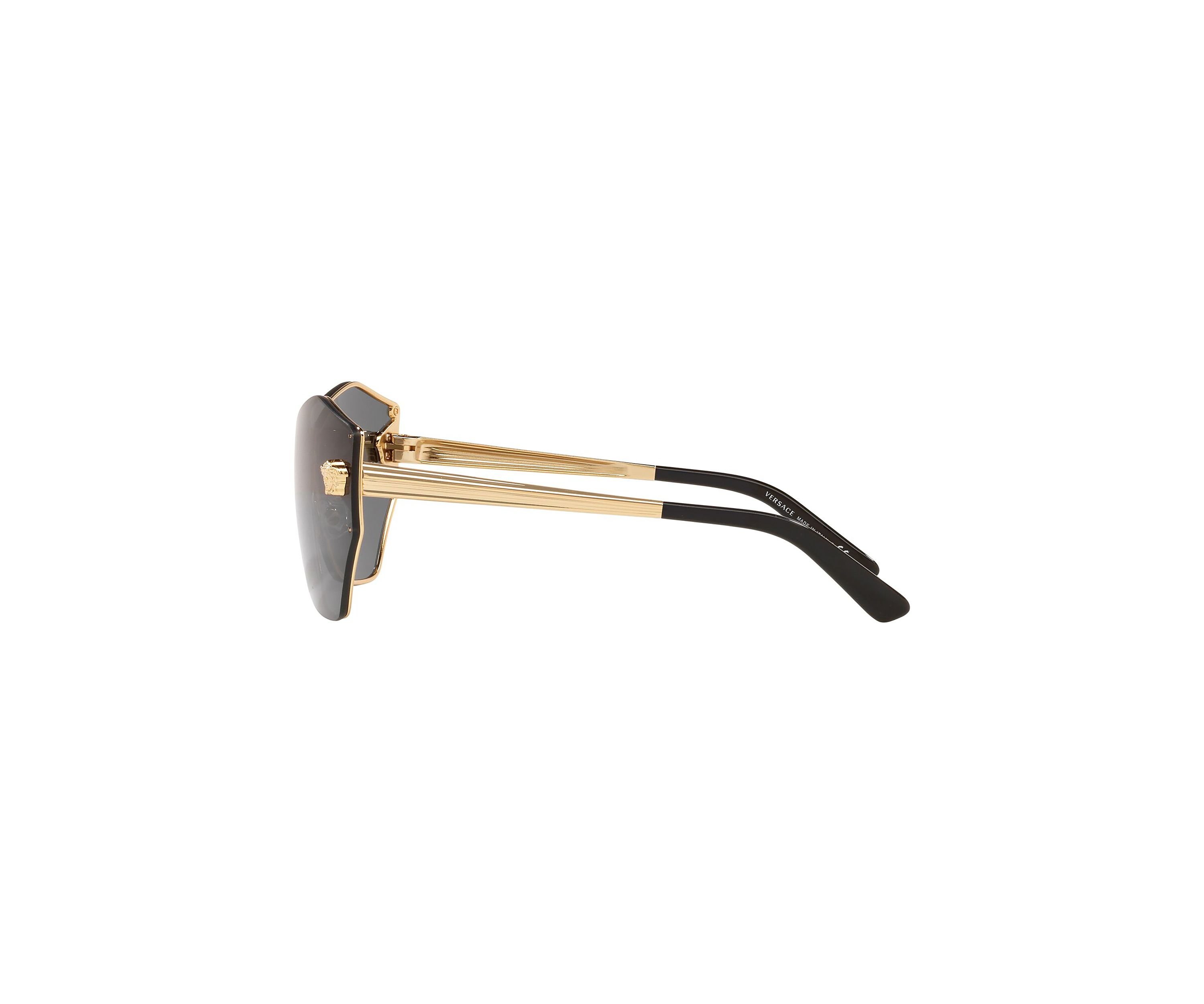 VE2182 Sunglasses